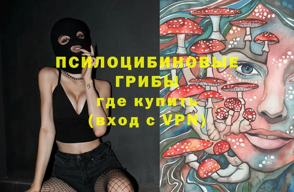 герыч Новодвинск