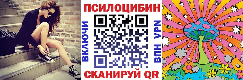Галлюциногенные грибы GOLDEN TEACHER  Купить закладки  Георгиевск 
