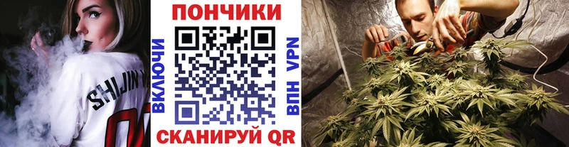 Купить закладки  Георгиевск  Шишки марихуана OG Kush 